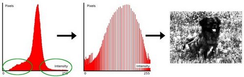 ../../../../../_images/Histogram_Equalization_Theory_11.jpg