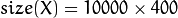 {size}(X) = 10000 \times 400