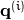 \mathbf{q}^{(i)}