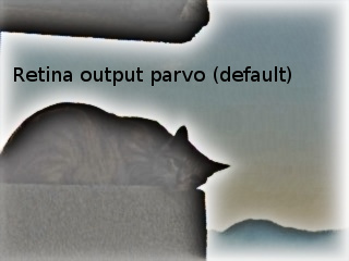 the retina foveal model applied on the entire image with default parameters. Here contours are enforced, luminance is corrected and halo effects are voluntary visible with this configuration, increase horizontalCellsGain near 1 to remove them.