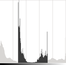 Basic_Linear_Transform_Tutorial_hist_alpha.png