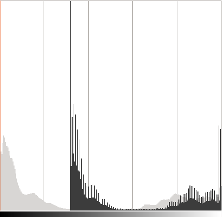 Basic_Linear_Transform_Tutorial_hist_beta.png