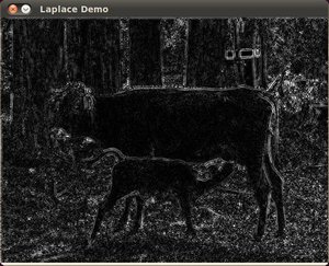 Laplace_Operator_Tutorial_Result.jpg