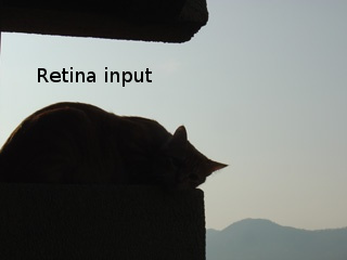 retinaInput.jpg