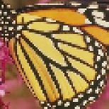 nearest_butterfly.jpg