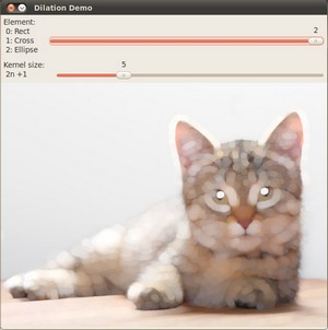 Sample Screenshot-Dilation