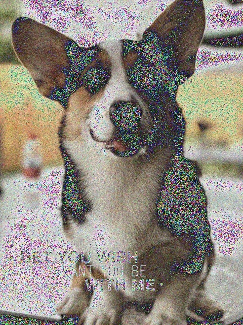 puppy_noisy